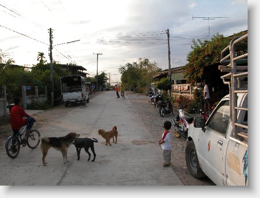 DSCN6179.JPG