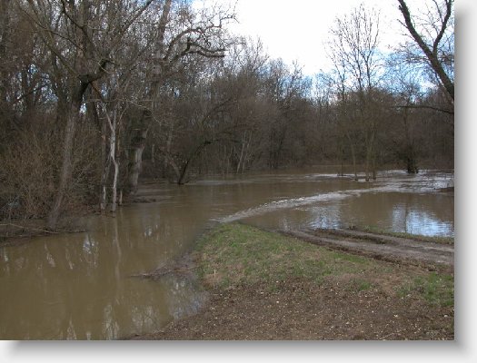 DSCN6518.JPG