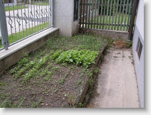 DSCN6630.JPG