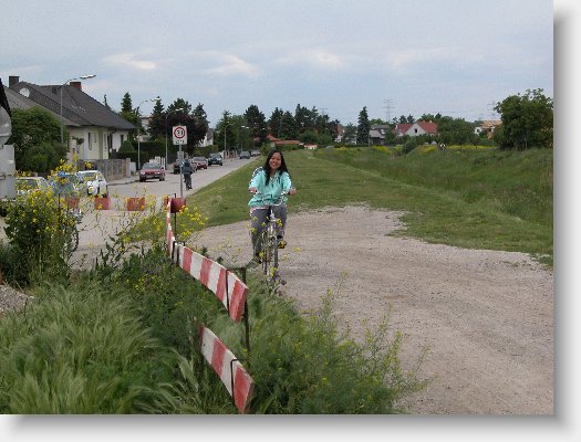 DSCN6635.JPG