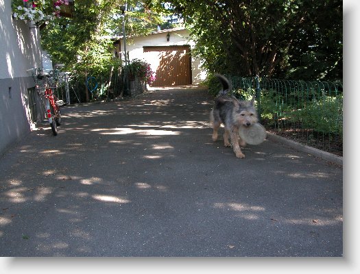 DSCN5138.JPG